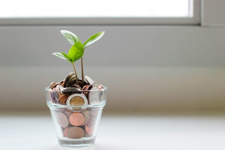 green plant in clear glass cup. Saving for cheap houses